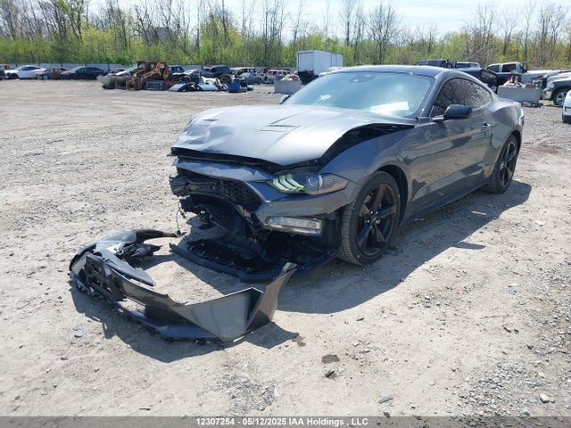 Ford Mustang 2021 1FA6P8TH6M5109843 Image 2