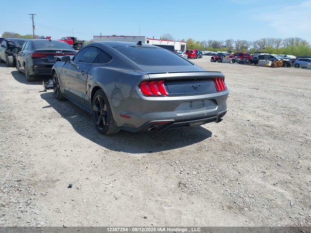 Ford Mustang 2021 1FA6P8TH6M5109843 Image 3