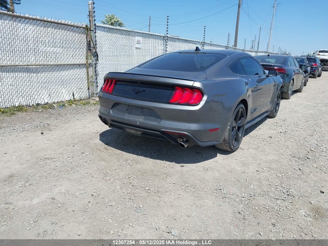 Ford Mustang 2021 1FA6P8TH6M5109843 Image 4