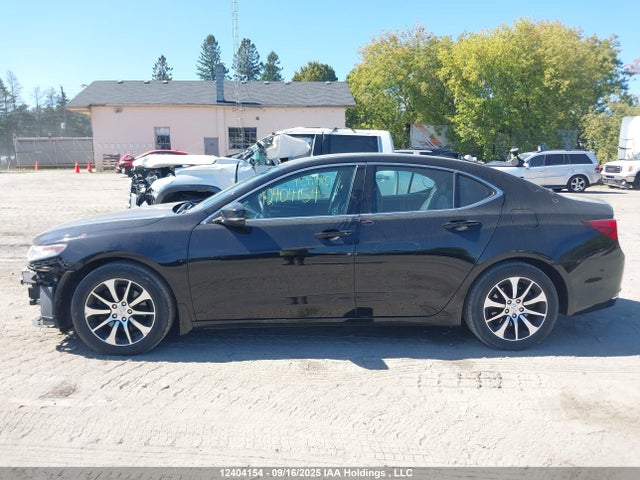 19UUB1F32FA801181 Acura k24w7