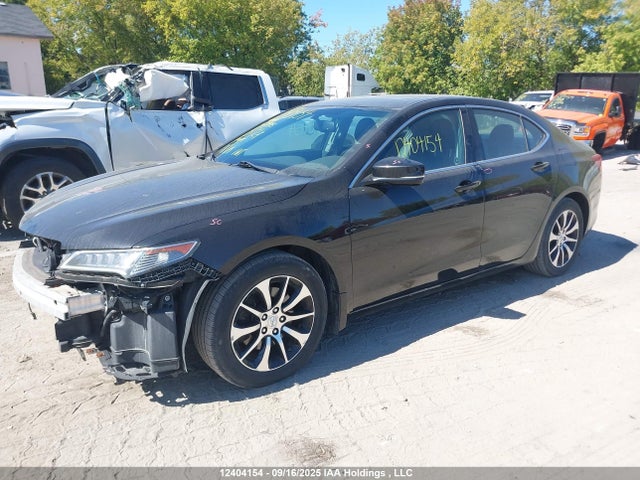 19UUB1F32FA801181 Acura k24w7