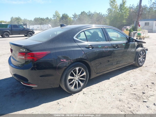 19UUB1F32FA801181 Acura k24w7