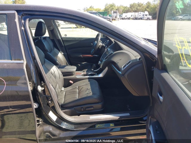 19UUB1F32FA801181 Acura k24w7