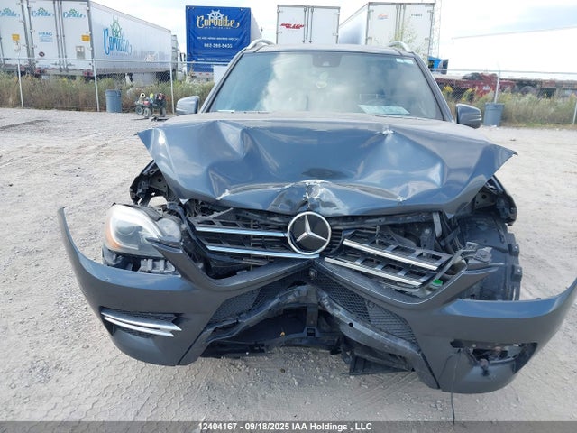 Mercedes-Benz Ml-Class 2015 4JGDA2EB7FA459660 Image 13