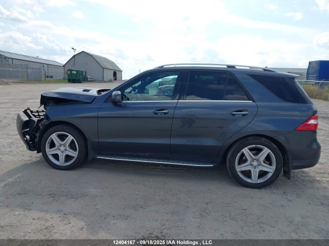 Mercedes-Benz Ml-Class 2015 4JGDA2EB7FA459660 Image 15