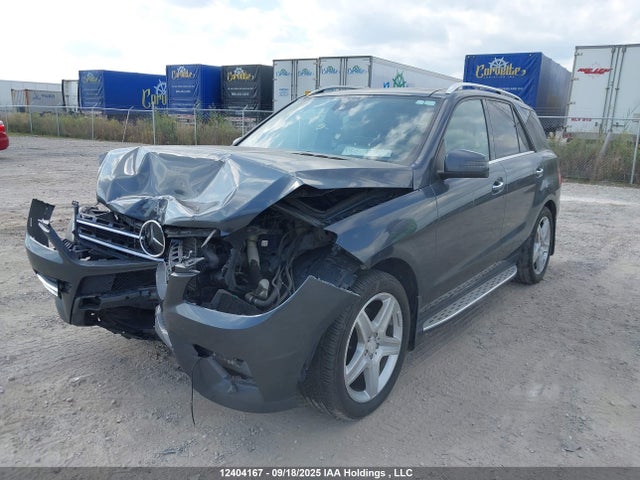 Mercedes-Benz Ml-Class 2015 4JGDA2EB7FA459660 Image 2