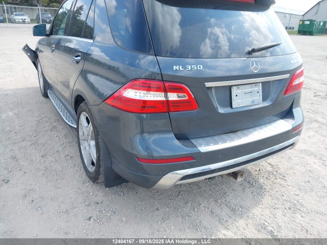 Mercedes-Benz Ml-Class 2015 4JGDA2EB7FA459660 Image 3