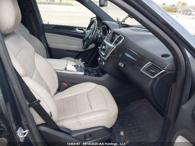 Mercedes-Benz Ml-Class 2015 4JGDA2EB7FA459660 Image 5