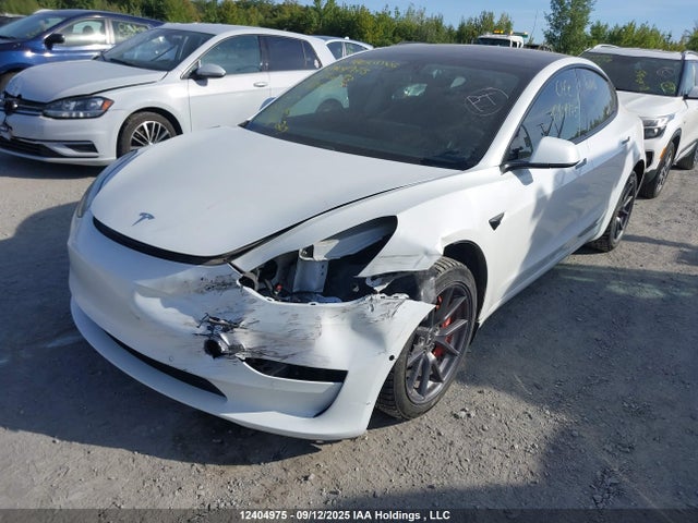 Tesla MODEL 3 2021 5YJ3E1EA8MF973057 Image 2