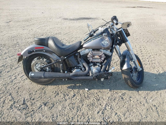 Harley-Davidson Fls Softail Slim 2014 5HD1JRVA3EB033035 Image 11