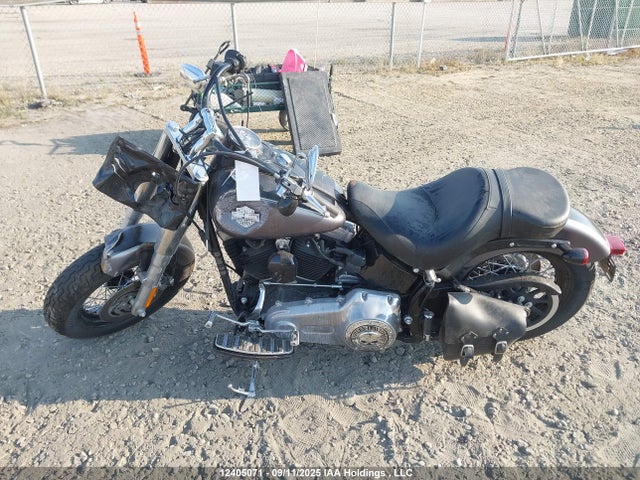 Harley-Davidson Fls Softail Slim 2014 5HD1JRVA3EB033035 Image 12