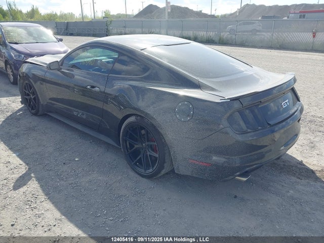 Ford 5.0l 4v premium fuel 2017 1FA6P8CF7H5216050 Image 3