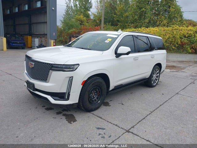 1GYS4DKL6NR166032 Cadillac l87