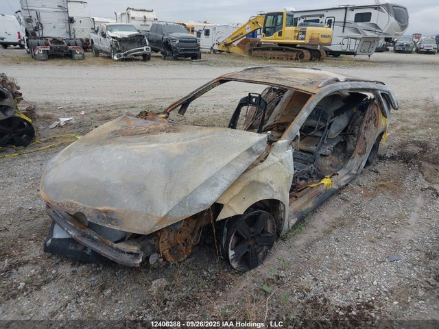 3VW117AU8KM516213 Volkswagen 2019