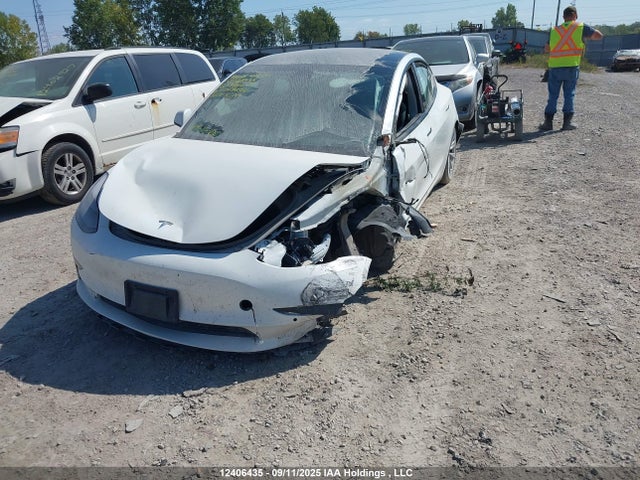Tesla MODEL 3 2021 5YJ3E1EA6MF058854 Image 2