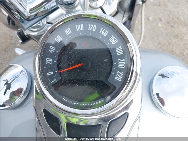 5HD1YCJB6KB053010 Harley-Davidson FLDE