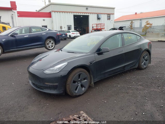 Tesla MODEL 3 2021 5YJ3E1EA3MF090872 Image 2