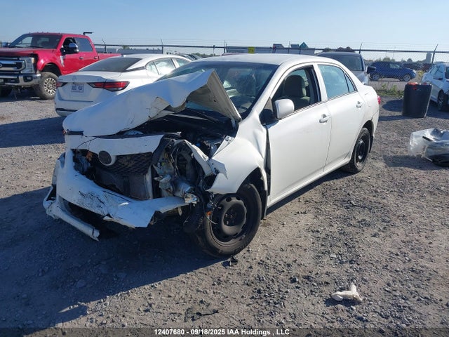 12407680 :رقم المزاد ، 2T1BU4EE0AC277800 vin ، 2010 Toyota Corolla Ce مزاد بيع