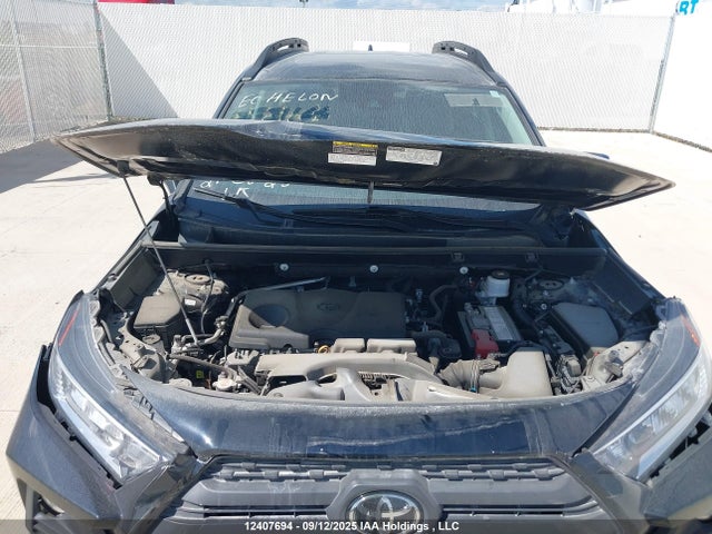 Продаж на аукціоні авто 2019 Toyota Rav4 Trail, vin: 2T3J1RFV9KW026409, номер лоту: 12407694