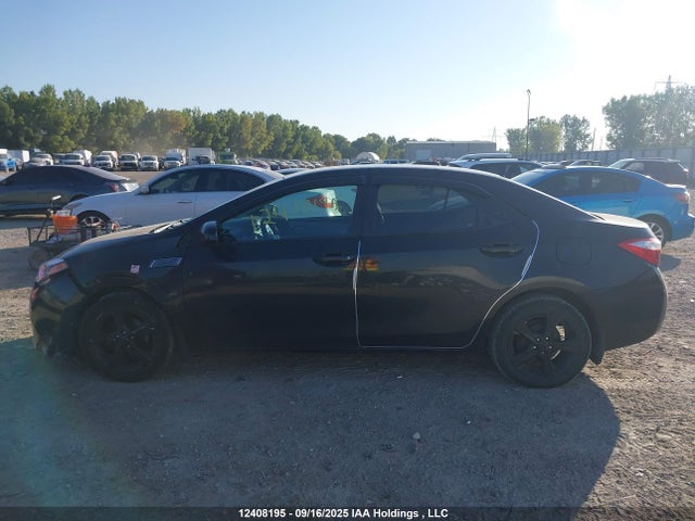 2T1BURHE2GC560538 Toyota 2zr-fe