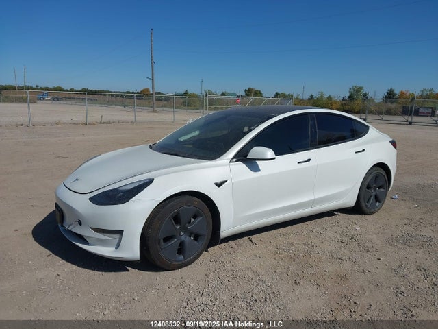 5YJ3E1EA8PF481830 Tesla MODEL 3
