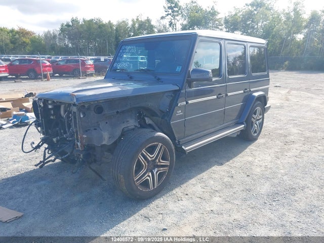 WDCYC7DF1GX249484 Mercedes-Benz Amg G 63