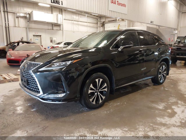 2020 Lexus Rx 350 მანქანა იყიდება აუქციონზე, vin: 2T2JZMDA1LC241883, აუქციონის ნომერი: 12408580