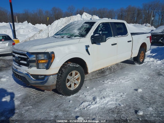 Ford 5.0l-4v 2023 1FTFW1E58PKE02110 Image 2