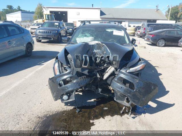 1C4PJLJS8GW336452 Jeep Cherokee