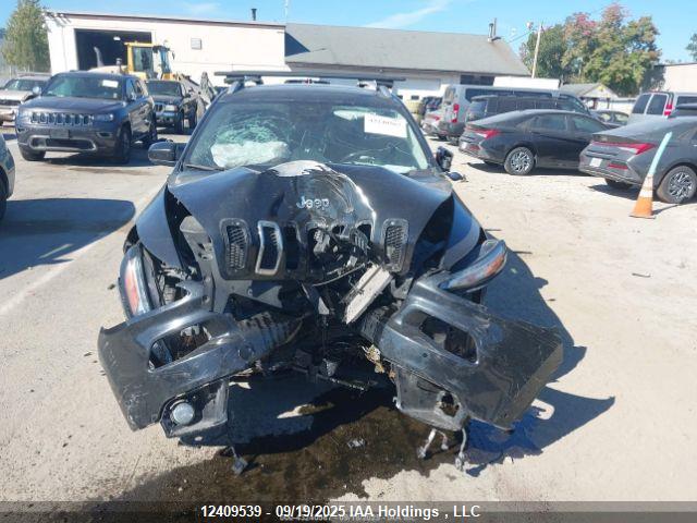 1C4PJLJS8GW336452 Jeep Cherokee