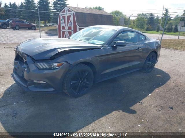 Ford 2015 2015 1FA6P8TH7F5410365 Image 3