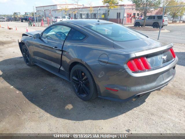 Ford 2015 2015 1FA6P8TH7F5410365 Image 4