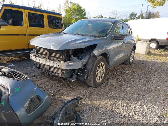 Ford dragon gtdi 2024 1FMCU9GN0RUA72051 Image 2