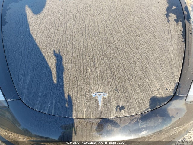 Tesla MODEL 3 2019 5YJ3E1EB3KF329925 Image 10