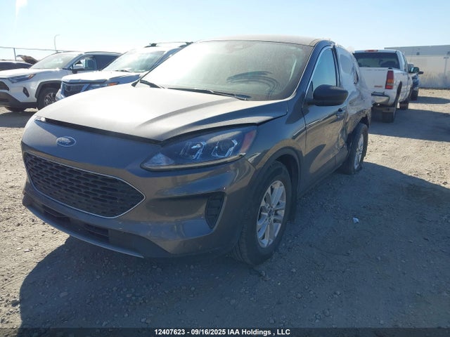 1FMCU9G68NUB82252 Ford dragon di tc