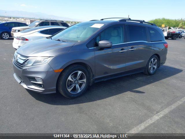 2019 Honda Odyssey Exl მანქანა იყიდება აუქციონზე, vin: 5FNRL6H65KB501108, აუქციონის ნომერი: 12411364