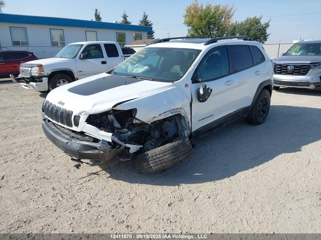 1C4PJMBX7LD567462 Jeep Cherokee Trailhawk