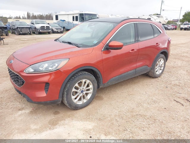 Ford Escape 2020 1FMCU9G64LUA13228 Image 2