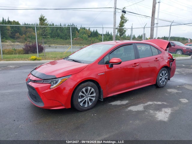 Продаж на аукціоні авто 2020 Toyota Corolla Hybrid, vin: JTDBBRBE0LJ007626, номер лоту: 12412437