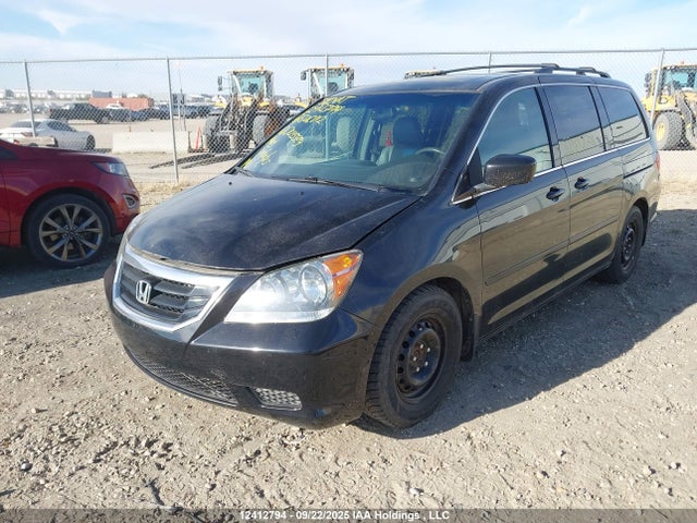 Продаж на аукціоні авто 2010 Honda Odyssey, vin: 5FNRL3H78AB506812, номер лоту: 12412794