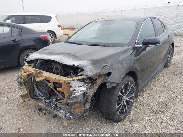 4T1J11AK8LU951286 Toyota CAMRY SE