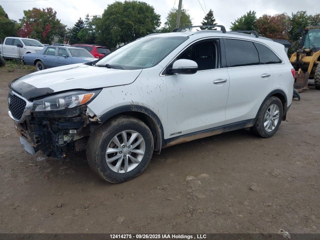 5XYPGDA50HG305404 KIA 2017