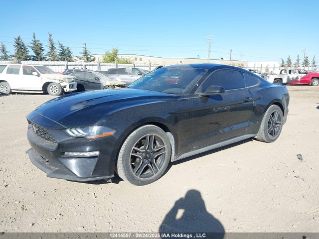Ford 4v 2019 1FA6P8TH3K5103107 Image 2