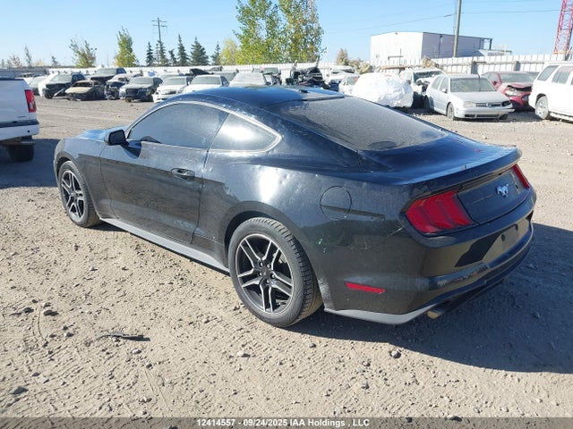 Ford 4v 2019 1FA6P8TH3K5103107 Image 3