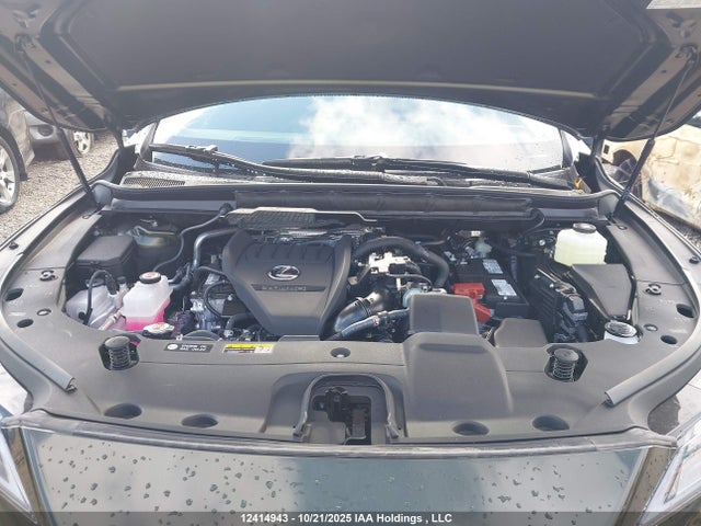 2025 Lexus Rx 350 მანქანა იყიდება აუქციონზე, vin: 2T2BAMCA1SC098154, აუქციონის ნომერი: 12414943