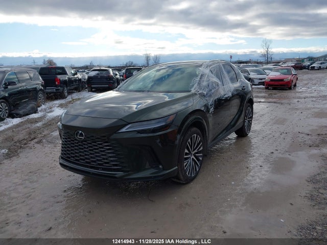 2025 Lexus Rx 350 მანქანა იყიდება აუქციონზე, vin: 2T2BAMCA1SC098154, აუქციონის ნომერი: 12414943