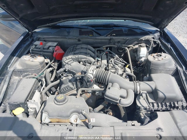 1ZVBP8AM7E5230162 Ford Mustang