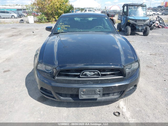1ZVBP8AM7E5230162 Ford Mustang