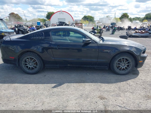 1ZVBP8AM7E5230162 Ford Mustang