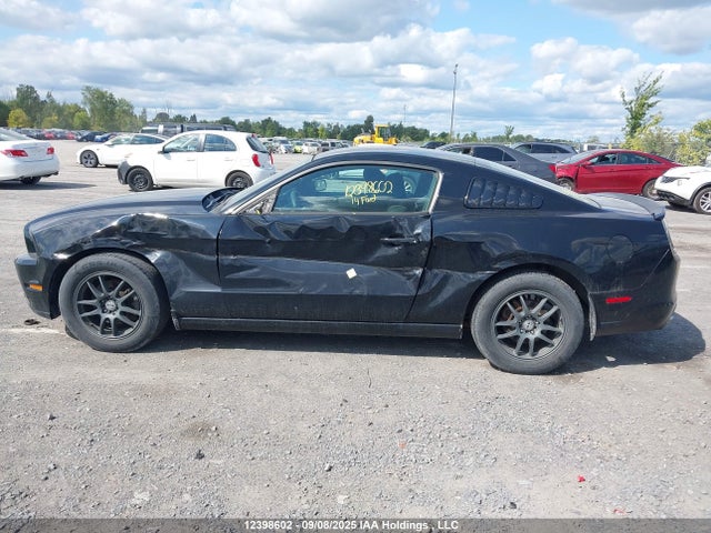 1ZVBP8AM7E5230162 Ford Mustang